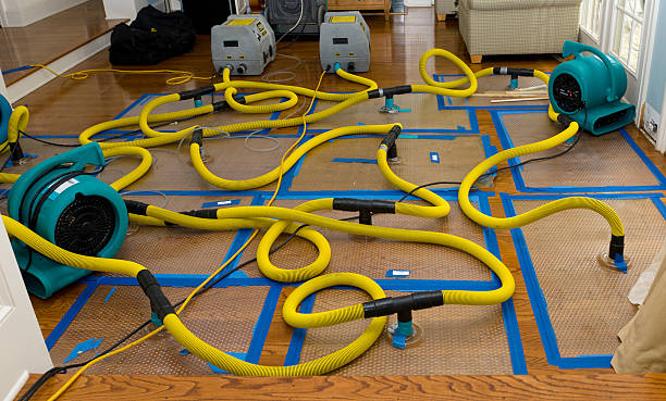Professional Structural Drying And Dehumidification technician working in Allen, TX